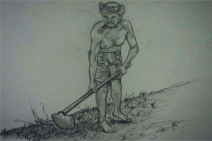 vareedapla